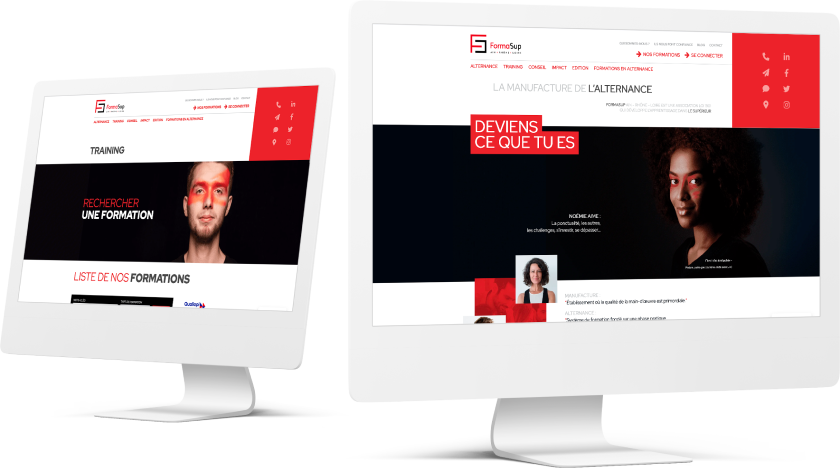 Expérience utilisateur (UX)